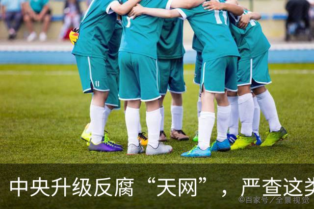 中央升级反腐“天网”，严查这类问题，查到一起处分一起！
