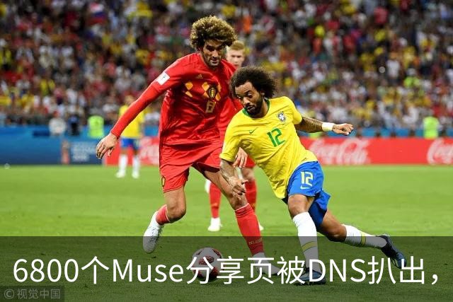 6800个Muse分享页被DNS扒出，Meta紧急暂停